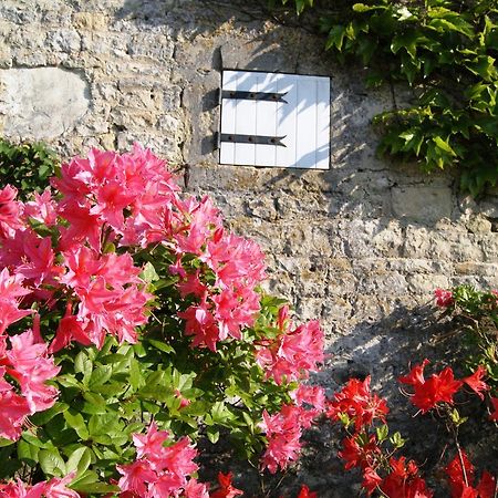 Manoir De La Pataudiere B&B Villers-Canivet エクステリア 写真