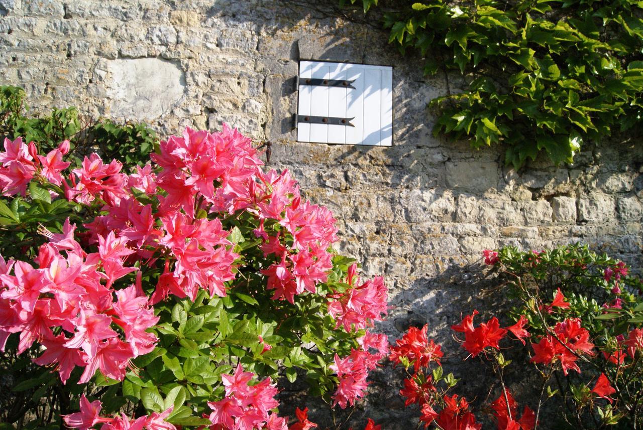 Manoir De La Pataudiere B&B Villers-Canivet エクステリア 写真